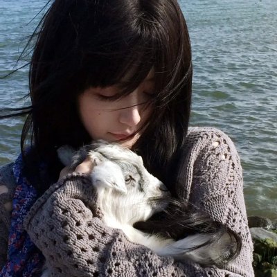 猫和老鼠在纽约